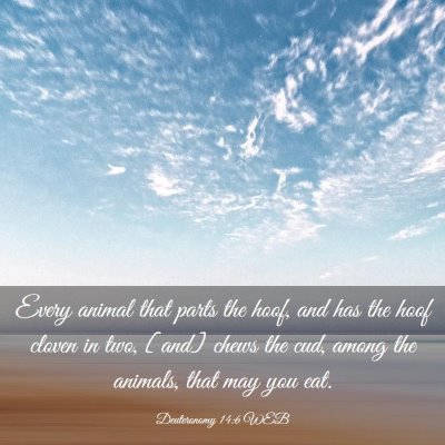 Picture 03 - Deuteronomy 14:6 WEB - Every animal that parts the hoof, and has the - Bible Verse Picture