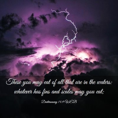 Picture 03 - Deuteronomy 14:9 WEB - These you may eat of all that are in the waters: - Bible Verse Picture