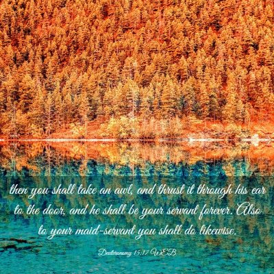 Picture 03 - Deuteronomy 15:17 WEB - then you shall take an awl, and thrust it through - Bible Verse Picture