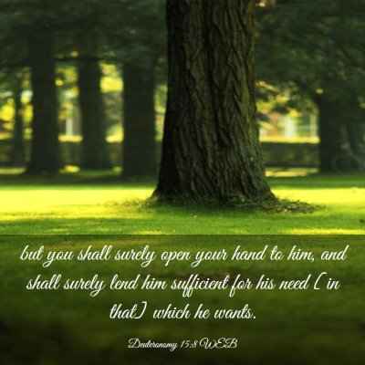 Picture 03 - Deuteronomy 15:8 WEB - but you shall surely open your hand to him, and - Bible Verse Picture