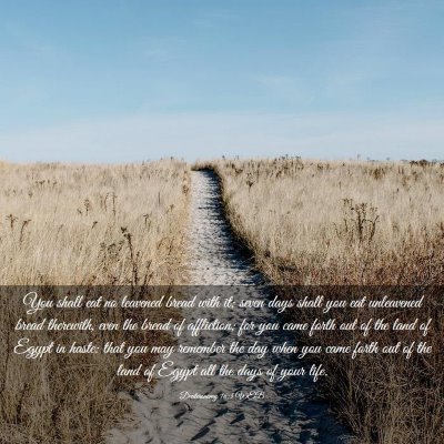 Picture 03 - Deuteronomy 16:3 WEB - You shall eat no leavened bread with it; seven - Bible Verse Picture