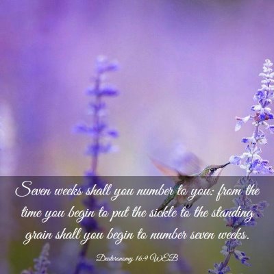 Picture 03 - Deuteronomy 16:9 WEB - Seven weeks shall you number to you: from the - Bible Verse Picture