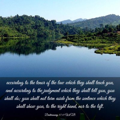 Picture 03 - Deuteronomy 17:11 WEB - according to the tenor of the law which they - Bible Verse Picture