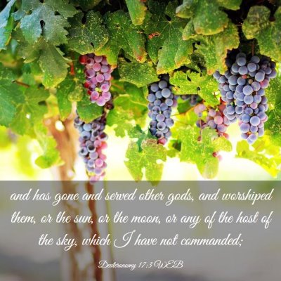 Picture 03 - Deuteronomy 17:3 WEB - and has gone and served other gods, and worshiped - Bible Verse Picture