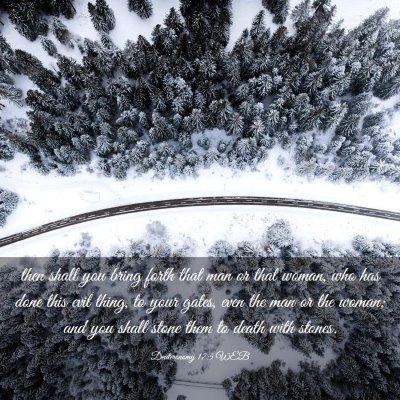 Picture 03 - Deuteronomy 17:5 WEB - then shall you bring forth that man or that - Bible Verse Picture