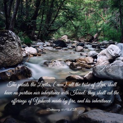 Picture 03 - Deuteronomy 18:1 WEB - The priests the Levites, [even] all the tribe of - Bible Verse Picture
