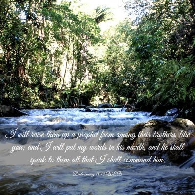 Picture 03 - Deuteronomy 18:18 WEB - I will raise them up a prophet from among their - Bible Verse Picture
