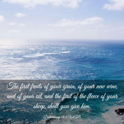 Picture 03 - Deuteronomy 18:4 WEB - The first fruits of your grain, of your new wine, - Bible Verse Picture
