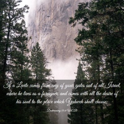 Picture 03 - Deuteronomy 18:6 WEB - If a Levite comes from any of your gates out of - Bible Verse Picture