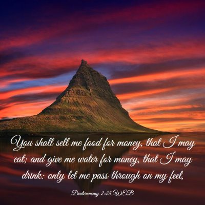 Picture 03 - Deuteronomy 2:28 WEB - You shall sell me food for money, that I may eat; - Bible Verse Picture
