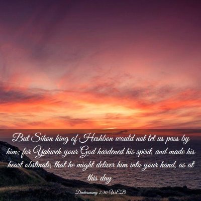 Picture 03 - Deuteronomy 2:30 WEB - But Sihon king of Heshbon would not let us pass - Bible Verse Picture