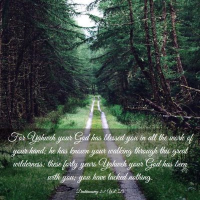 Picture 03 - Deuteronomy 2:7 WEB - For Yahweh your God has blessed you in all the - Bible Verse Picture