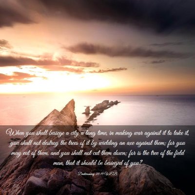 Picture 03 - Deuteronomy 20:19 WEB - When you shall besiege a city a long time, in - Bible Verse Picture