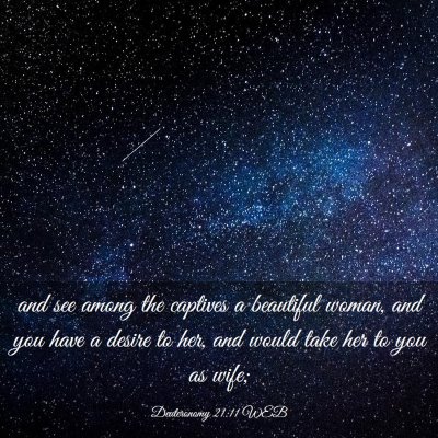 Picture 03 - Deuteronomy 21:11 WEB - and see among the captives a beautiful woman, and - Bible Verse Picture