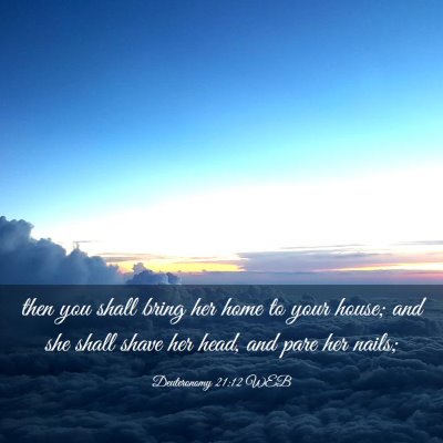 Picture 03 - Deuteronomy 21:12 WEB - then you shall bring her home to your house; and - Bible Verse Picture