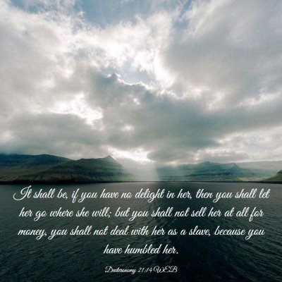 Picture 03 - Deuteronomy 21:14 WEB - It shall be, if you have no delight in her, then - Bible Verse Picture