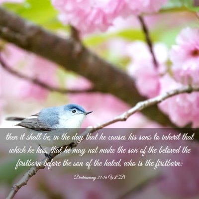 Picture 03 - Deuteronomy 21:16 WEB - then it shall be, in the day that he causes his - Bible Verse Picture