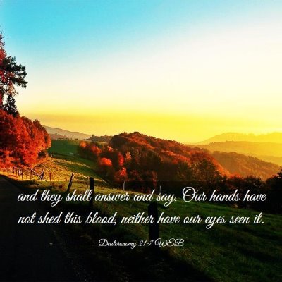 Picture 03 - Deuteronomy 21:7 WEB - and they shall answer and say, Our hands have not - Bible Verse Picture