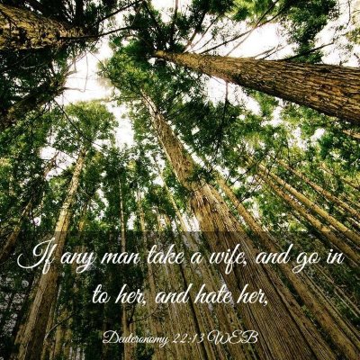 Picture 03 - Deuteronomy 22:13 WEB - If any man take a wife, and go in to her, and - Bible Verse Picture
