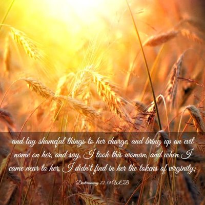 Picture 03 - Deuteronomy 22:14 WEB - and lay shameful things to her charge, and bring - Bible Verse Picture