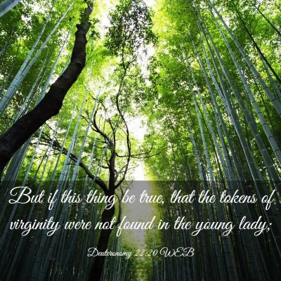Picture 03 - Deuteronomy 22:20 WEB - But if this thing be true, that the tokens of - Bible Verse Picture