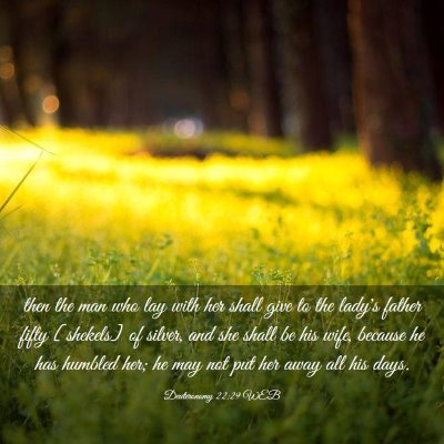 Picture 03 - Deuteronomy 22:29 WEB - then the man who lay with her shall give to the - Bible Verse Picture