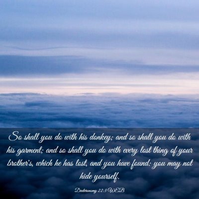 Picture 03 - Deuteronomy 22:3 WEB - So shall you do with his donkey; and so shall you - Bible Verse Picture