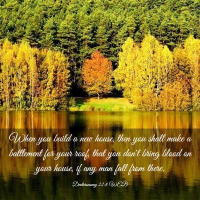 Picture 03 - Deuteronomy 22:8 WEB - When you build a new house, then you shall make a - Bible Verse Picture
