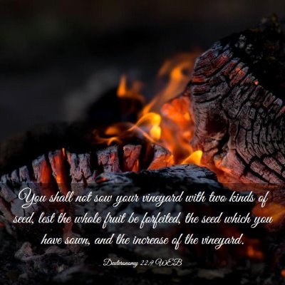Picture 03 - Deuteronomy 22:9 WEB - You shall not sow your vineyard with two kinds of - Bible Verse Picture
