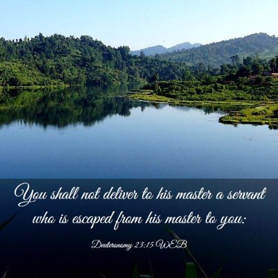 Picture 03 - Deuteronomy 23:15 WEB - You shall not deliver to his master a servant who - Bible Verse Picture