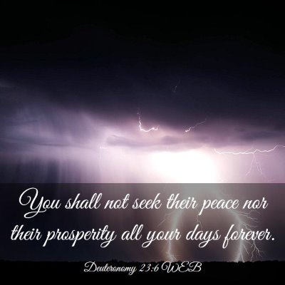 Picture 03 - Deuteronomy 23:6 WEB - You shall not seek their peace nor their - Bible Verse Picture