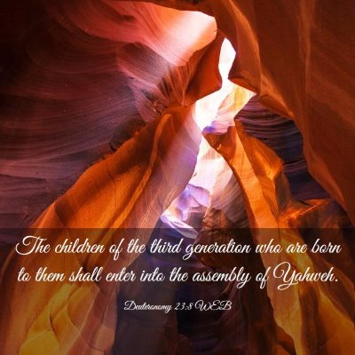 Picture 03 - Deuteronomy 23:8 WEB - The children of the third generation who are born - Bible Verse Picture