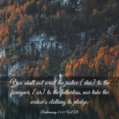Picture 03 - Deuteronomy 24:17 WEB - You shall not wrest the justice [due] to the - Bible Verse Picture