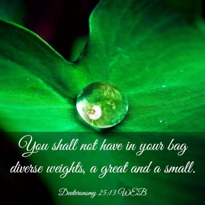 Picture 03 - Deuteronomy 25:13 WEB - You shall not have in your bag diverse weights, a - Bible Verse Picture