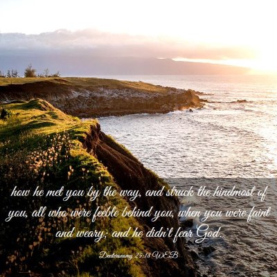 Picture 03 - Deuteronomy 25:18 WEB - how he met you by the way, and struck the - Bible Verse Picture