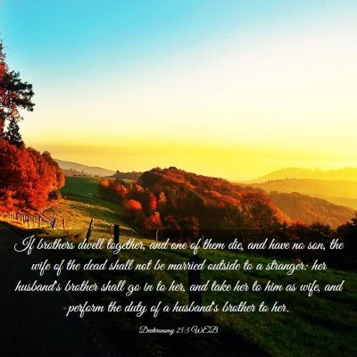 Picture 03 - Deuteronomy 25:5 WEB - If brothers dwell together, and one of them die, - Bible Verse Picture
