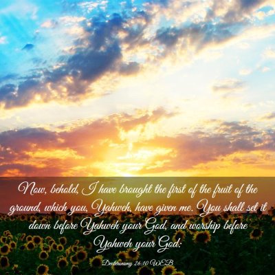 Picture 03 - Deuteronomy 26:10 WEB - Now, behold, I have brought the first of the - Bible Verse Picture