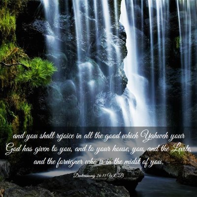 Picture 03 - Deuteronomy 26:11 WEB - and you shall rejoice in all the good which - Bible Verse Picture