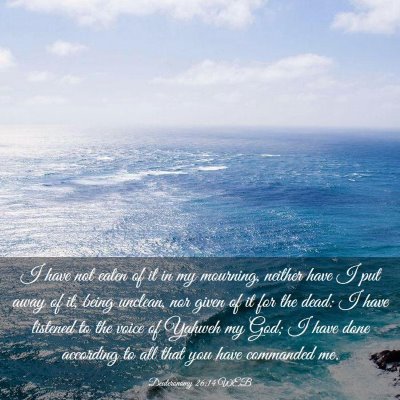 Picture 03 - Deuteronomy 26:14 WEB - I have not eaten of it in my mourning, neither - Bible Verse Picture