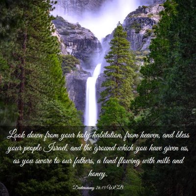 Picture 03 - Deuteronomy 26:15 WEB - Look down from your holy habitation, from heaven, - Bible Verse Picture