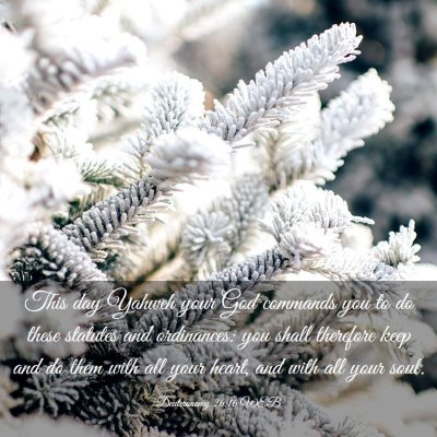 Picture 03 - Deuteronomy 26:16 WEB - This day Yahweh your God commands you to do these - Bible Verse Picture