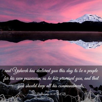 Picture 03 - Deuteronomy 26:18 WEB - and Yahweh has declared you this day to be a - Bible Verse Picture