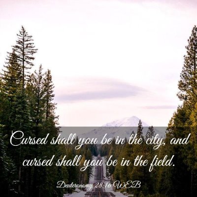 Picture 03 - Deuteronomy 28:16 WEB - Cursed shall you be in the city, and cursed shall - Bible Verse Picture