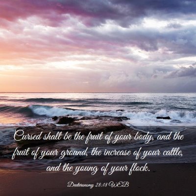 Picture 03 - Deuteronomy 28:18 WEB - Cursed shall be the fruit of your body, and the - Bible Verse Picture