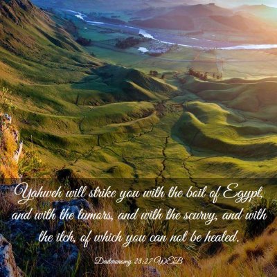 Picture 03 - Deuteronomy 28:27 WEB - Yahweh will strike you with the boil of Egypt, - Bible Verse Picture