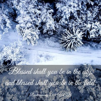 Picture 03 - Deuteronomy 28:3 WEB - Blessed shall you be in the city, and blessed - Bible Verse Picture