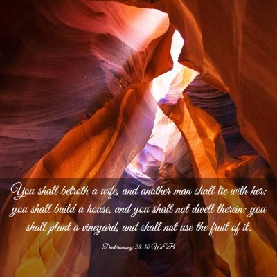 Picture 03 - Deuteronomy 28:30 WEB - You shall betroth a wife, and another man shall - Bible Verse Picture