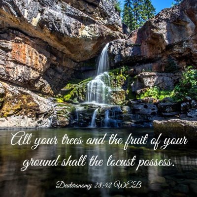 Picture 03 - Deuteronomy 28:42 WEB - All your trees and the fruit of your ground shall - Bible Verse Picture