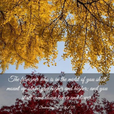 Picture 03 - Deuteronomy 28:43 WEB - The foreigner who is in the midst of you shall - Bible Verse Picture