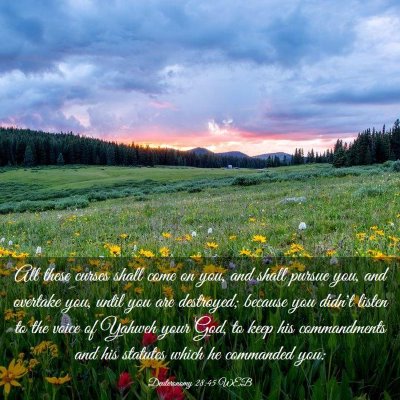 Picture 03 - Deuteronomy 28:45 WEB - All these curses shall come on you, and shall - Bible Verse Picture